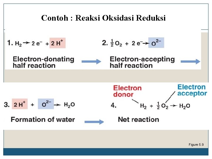 Contoh : Reaksi Oksidasi Reduksi Figure 5. 9 