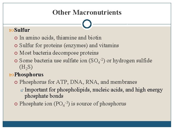 Other Macronutrients Sulfur In amino acids, thiamine and biotin Sulfur for proteins (enzymes) and