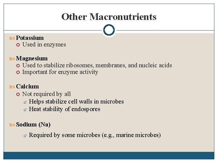 Other Macronutrients Potassium Used in enzymes Magnesium Used to stabilize ribosomes, membranes, and nucleic