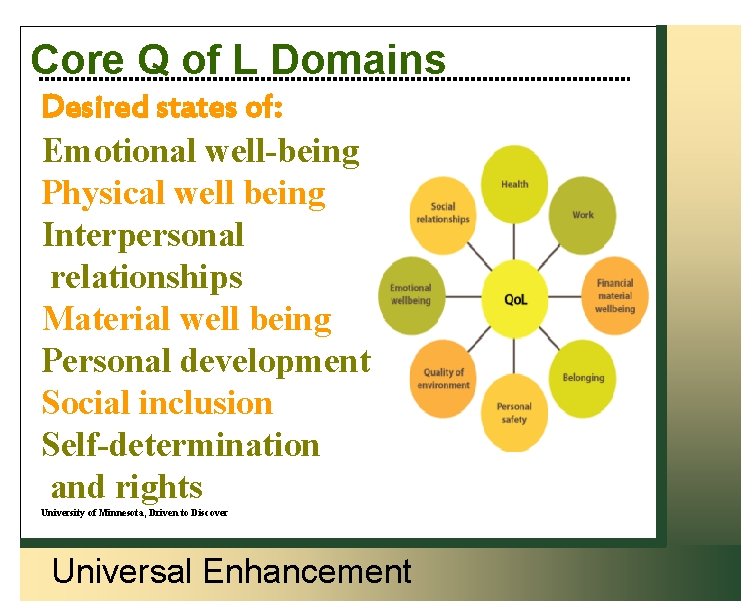 Core Q of L Domains Desired states of: Emotional well-being Physical well being Interpersonal