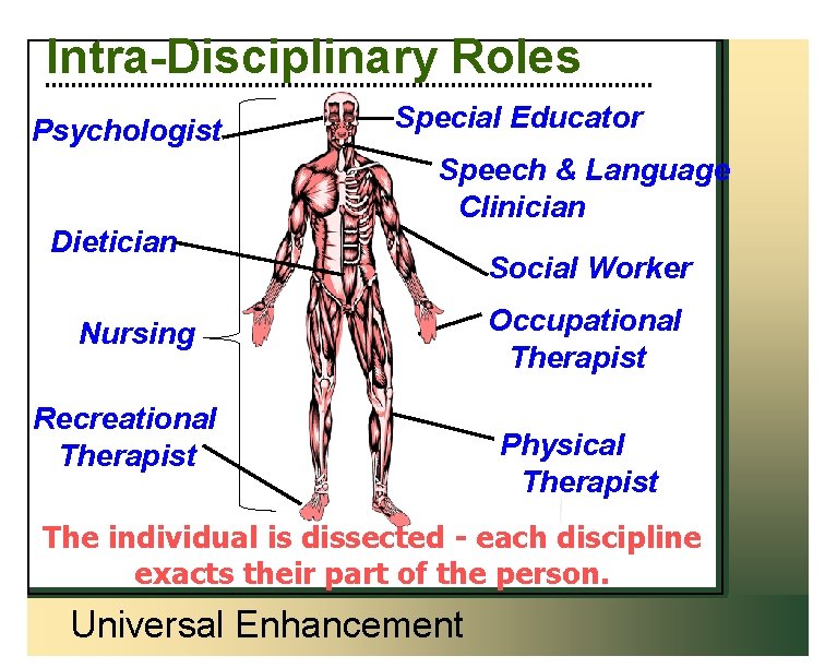 Intra-Disciplinary Roles Psychologist Special Educator Speech & Language Clinician Dietician Nursing Recreational Therapist Social