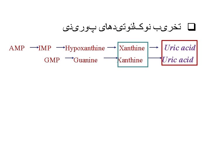  ﺗﺨﺮیﺐ ﻧﻮکﻠﺌﻮﺗیﺪﻫﺎی پﻮﺭیﻨی q AMP IMP GMP Hypoxanthine Guanine Xanthine Uric acid 