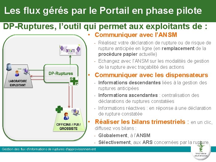 Les flux gérés par le Portail en phase pilote DP-Ruptures, l’outil qui permet aux