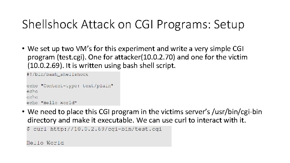 Shellshock Attack on CGI Programs: Setup • We set up two VM’s for this