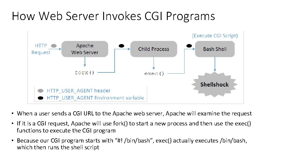How Web Server Invokes CGI Programs • When a user sends a CGI URL
