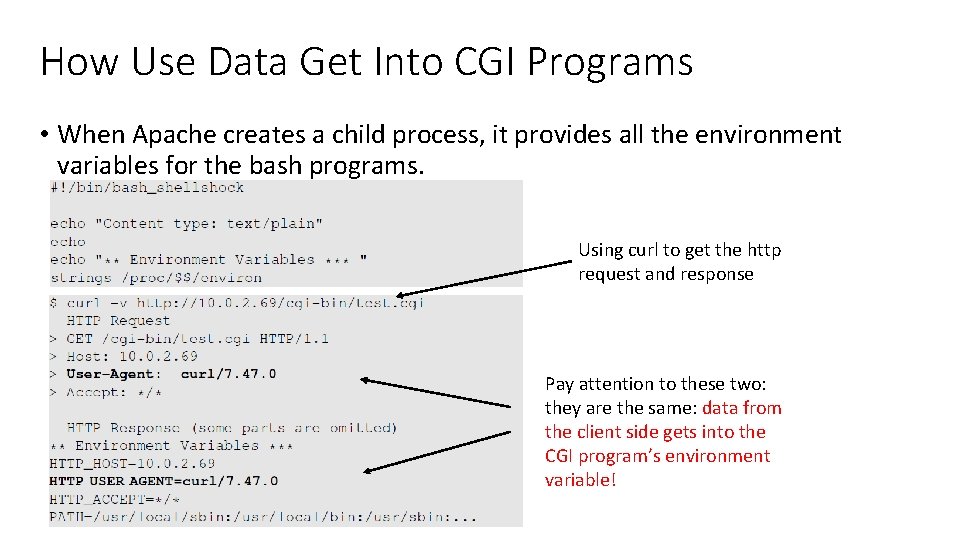 How Use Data Get Into CGI Programs • When Apache creates a child process,