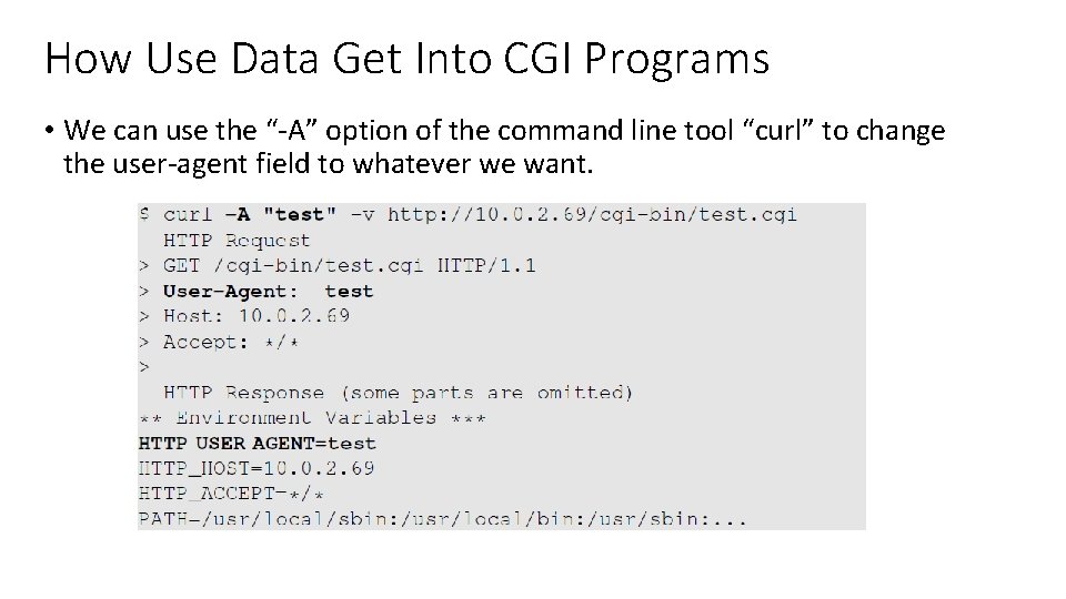 How Use Data Get Into CGI Programs • We can use the “-A” option