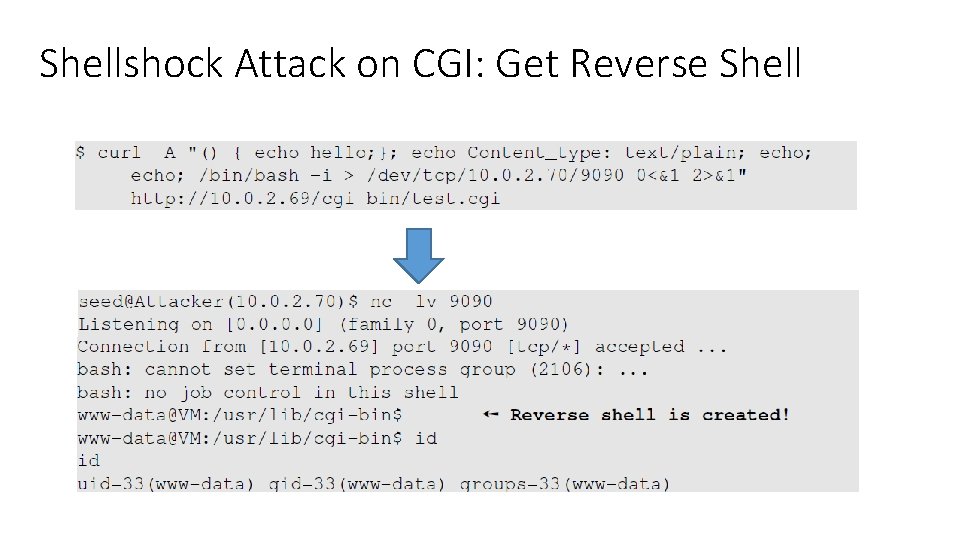 Shellshock Attack on CGI: Get Reverse Shell 