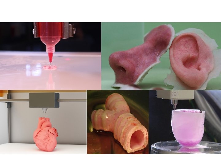 PRINTING ORGANS 