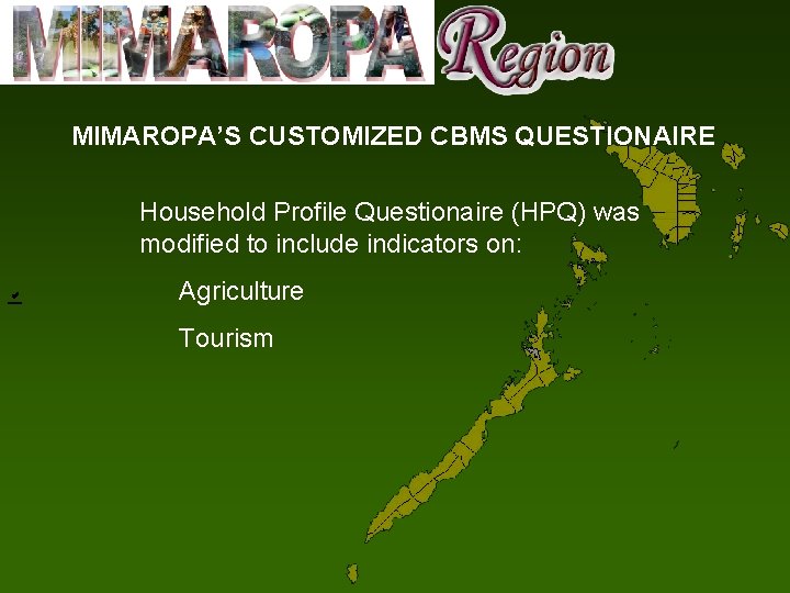 MIMAROPA’S CUSTOMIZED CBMS QUESTIONAIRE Household Profile Questionaire (HPQ) was modified to include indicators on: