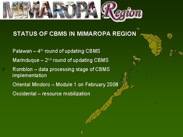 STATUS OF CBMS IN MIMAROPA REGION Palawan – 4 th round of updating CBMS
