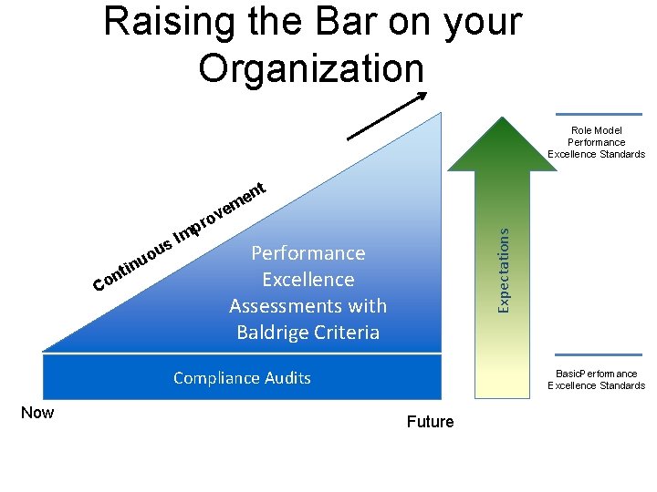 Raising the Bar on your Organization Role Model Performance Excellence Standards t n me
