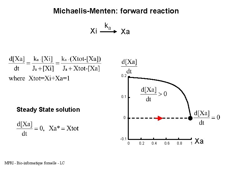 Michaelis-Menten: forward reaction Xi ka Xa 0. 2 0. 1 Steady State solution 0