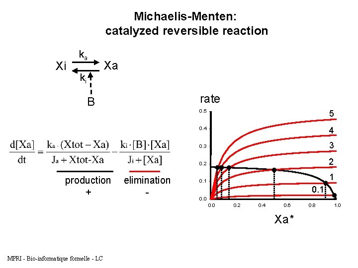 Michaelis-Menten: catalyzed reversible reaction Xi ka ki Xa rate B production + elimination -
