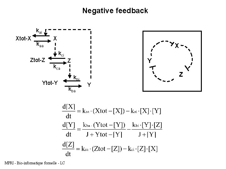 Negative feedback kai Xtot-X kaa X X kci Ztot-Z kca Ytot-Y MPRI - Bio-informatique