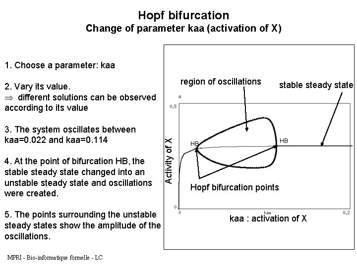 Hopf bifurcation Change of parameter kaa (activation of X) 1. Choose a parameter: kaa