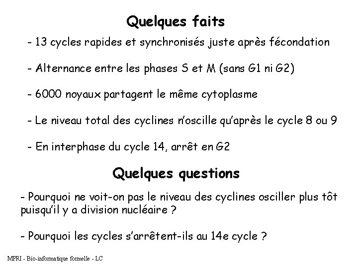 Quelques faits - 13 cycles rapides et synchronisés juste après fécondation - Alternance entre