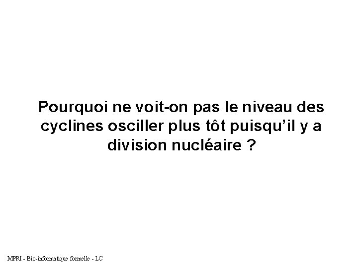 Pourquoi ne voit-on pas le niveau des cyclines osciller plus tôt puisqu’il y a