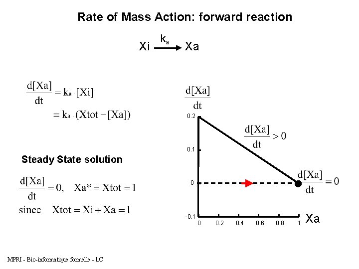 Rate of Mass Action: forward reaction Xi ka Xa 0. 2 0. 1 Steady