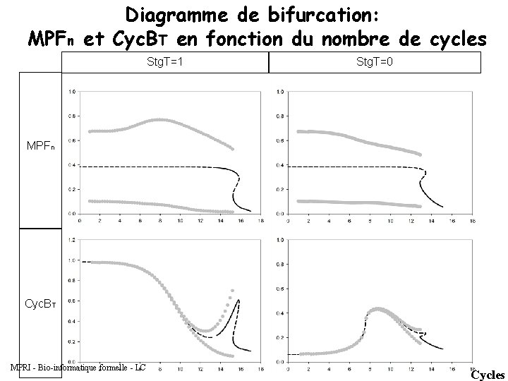 Diagramme de bifurcation: MPFn et Cyc. BT en fonction du nombre de cycles Stg.