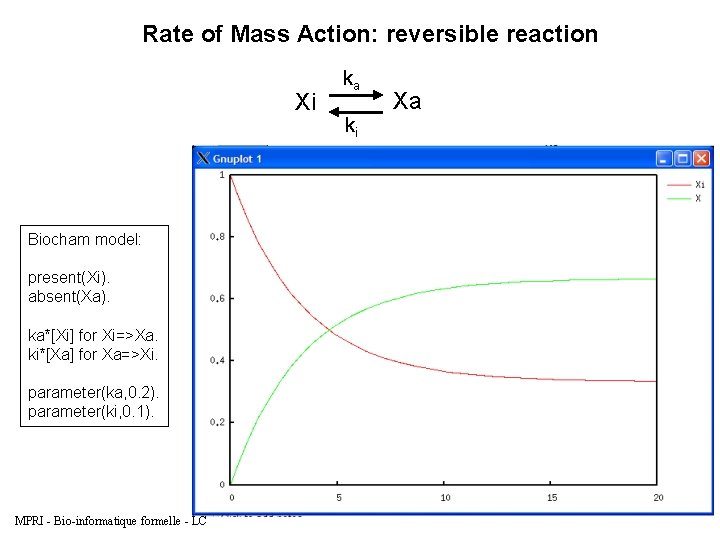 Rate of Mass Action: reversible reaction Xi Biocham model: present(Xi). absent(Xa). ka*[Xi] for Xi=>Xa.