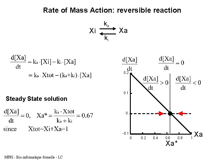 Rate of Mass Action: reversible reaction Xi ka ki Xa 0. 2 0. 1