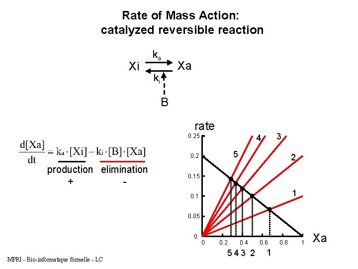 Rate of Mass Action: catalyzed reversible reaction Xi ka ki Xa B rate 0.