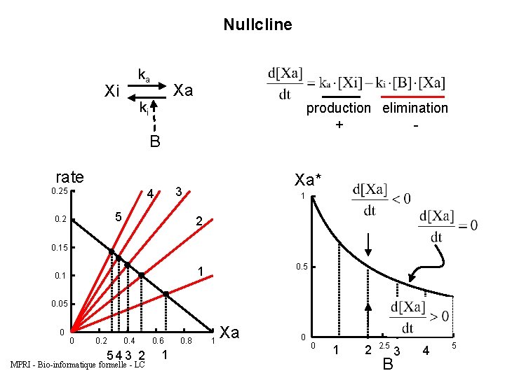 Nullcline ka Xi Xa ki production elimination + - B rate 0. 25 4