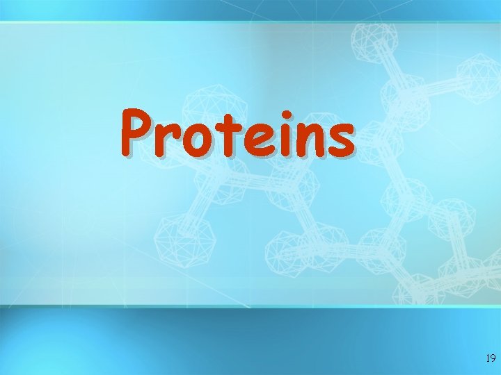 Proteins 19 