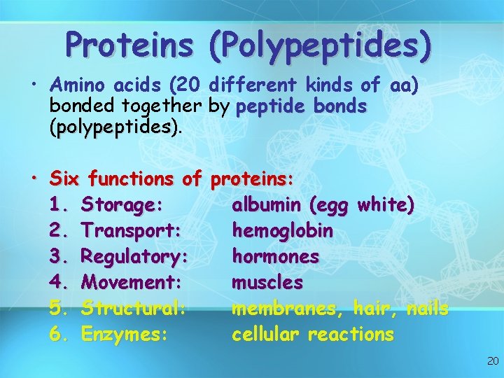 Proteins (Polypeptides) • Amino acids (20 different kinds of aa) bonded together by peptide