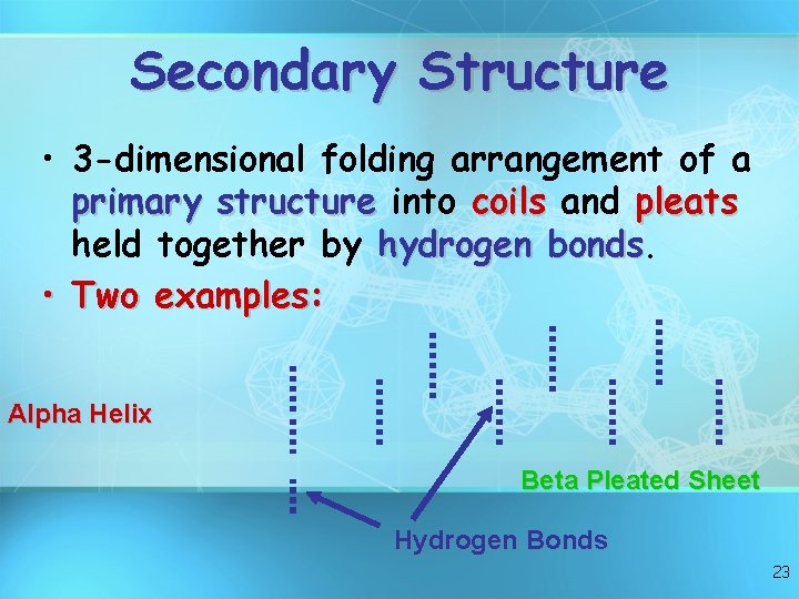 Secondary Structure • 3 -dimensional folding arrangement of a primary structure into coils and
