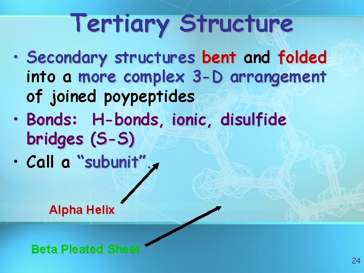 Tertiary Structure • Secondary structures bent and folded into a more complex 3 -D