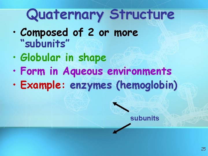 Quaternary Structure • Composed of 2 or more “subunits” • Globular in shape •