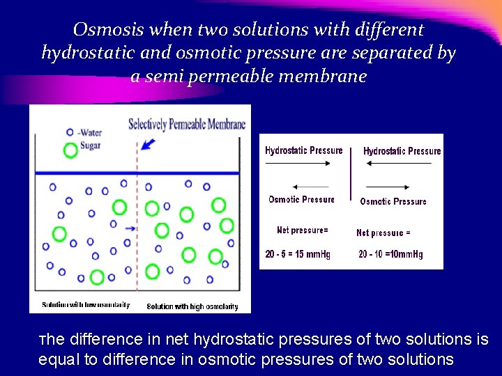 Osmosis when two solutions with different hydrostatic and osmotic pressure are separated by a