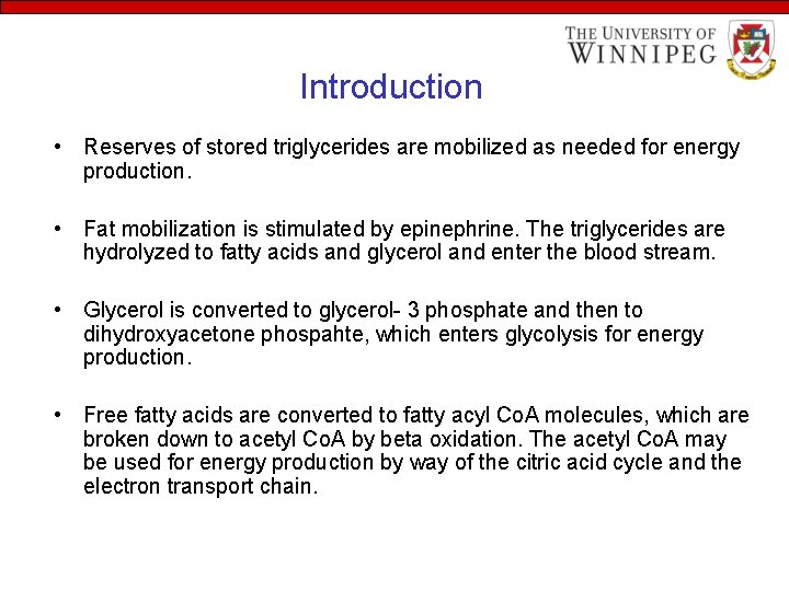 Introduction • Reserves of stored triglycerides are mobilized as needed for energy production. •