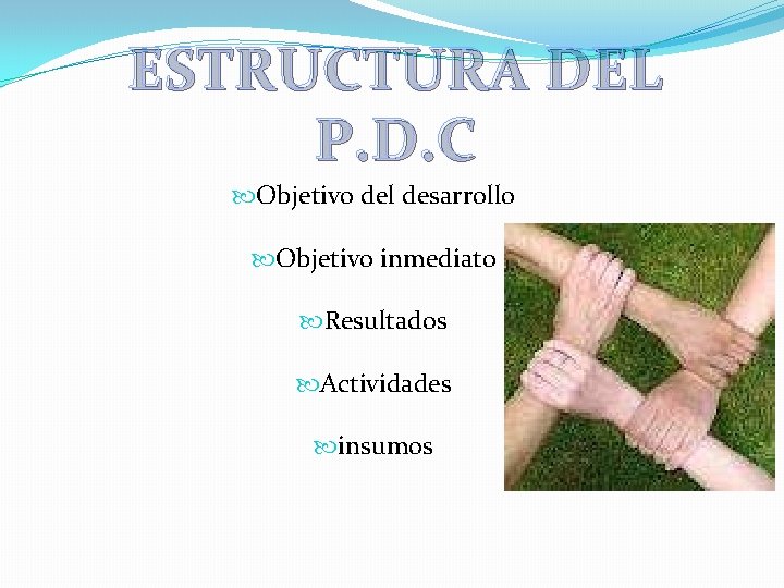ESTRUCTURA DEL P. D. C Objetivo del desarrollo Objetivo inmediato Resultados Actividades insumos ESTRUCTURA DEL P. D. C Objetivo del desarrollo Objetivo inmediato Resultados Actividades insumos