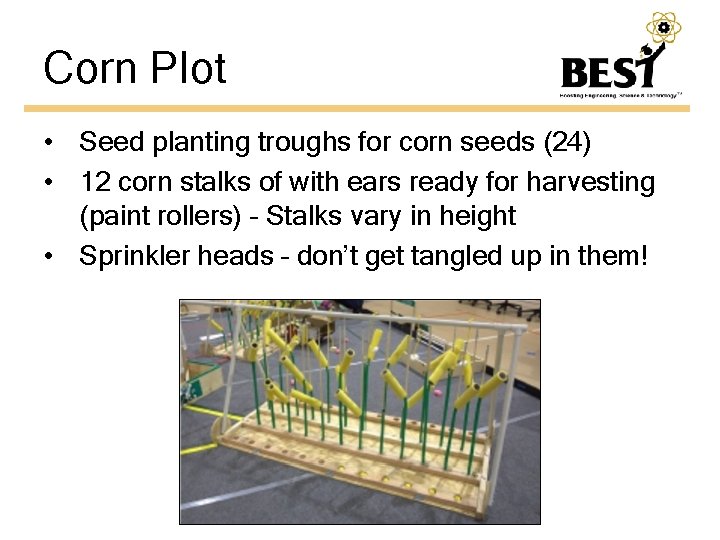 Corn Plot • Seed planting troughs for corn seeds (24) • 12 corn stalks