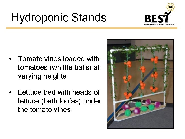 Hydroponic Stands • Tomato vines loaded with tomatoes (whiffle balls) at varying heights •