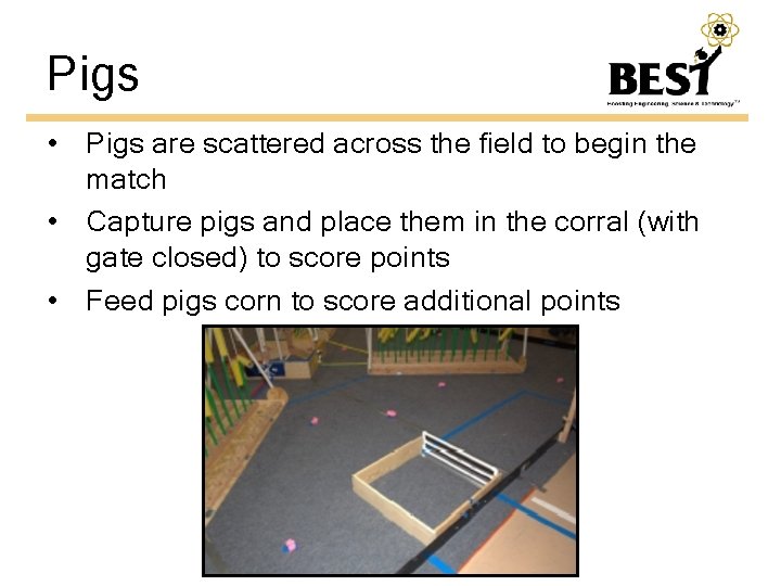 Pigs • Pigs are scattered across the field to begin the match • Capture