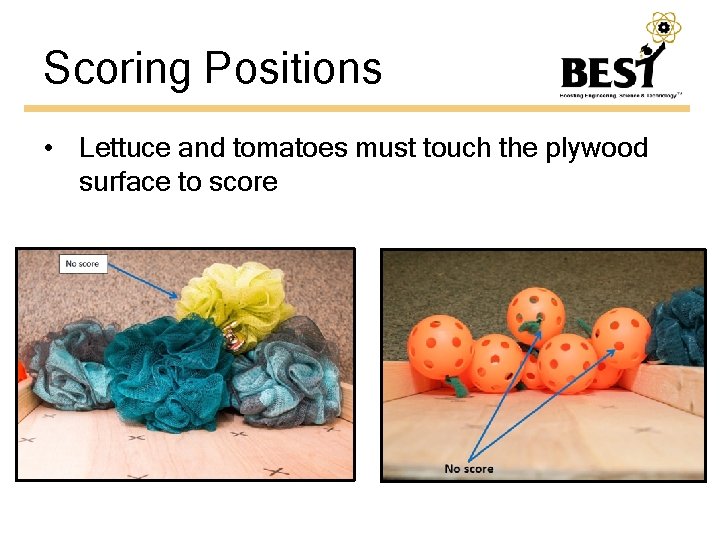 Scoring Positions • Lettuce and tomatoes must touch the plywood surface to score 