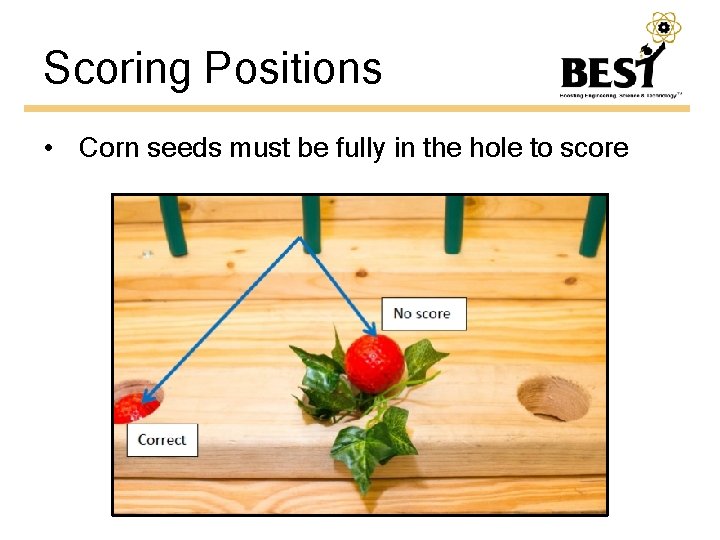 Scoring Positions • Corn seeds must be fully in the hole to score 