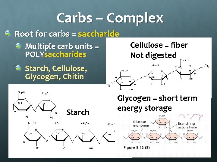 CARBOHYDRATES L 3 Biology Carbs some facts Examples