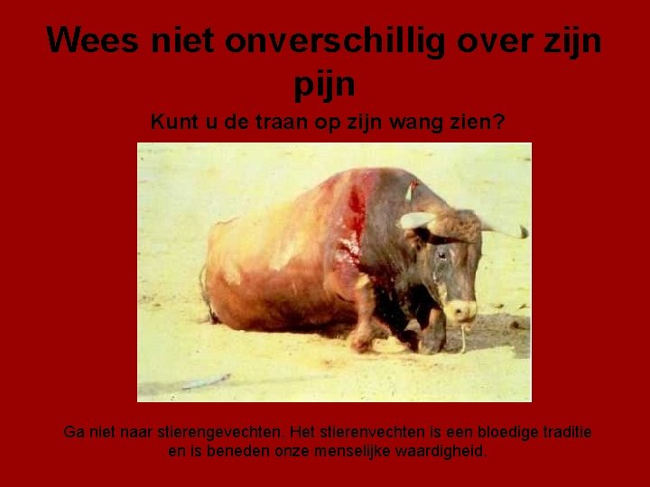 Wees niet onverschillig over zijn pijn Kunt u de traan op zijn wang zien?