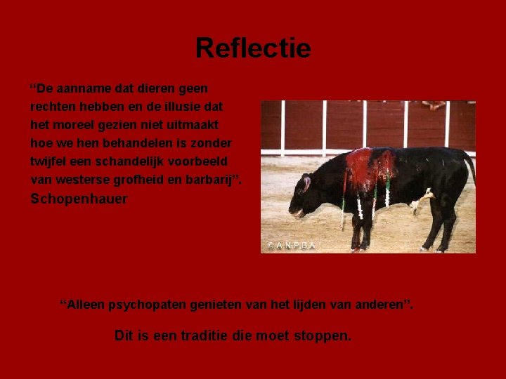 Reflectie “De aanname dat dieren geen rechten hebben en de illusie dat het moreel