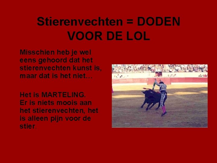 Stierenvechten = DODEN VOOR DE LOL Misschien heb je wel eens gehoord dat het