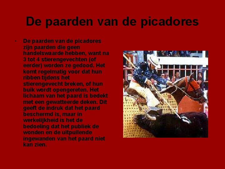 De paarden van de picadores • De paarden van de picadores zijn paarden die