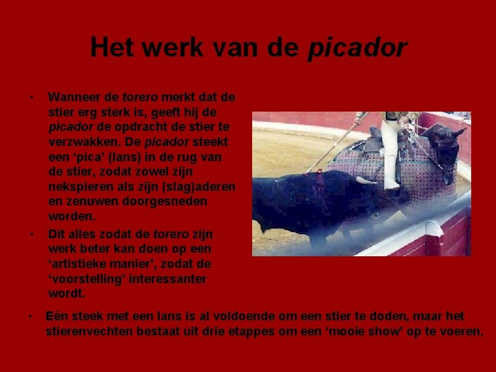 Het werk van de picador • • • Wanneer de torero merkt dat de