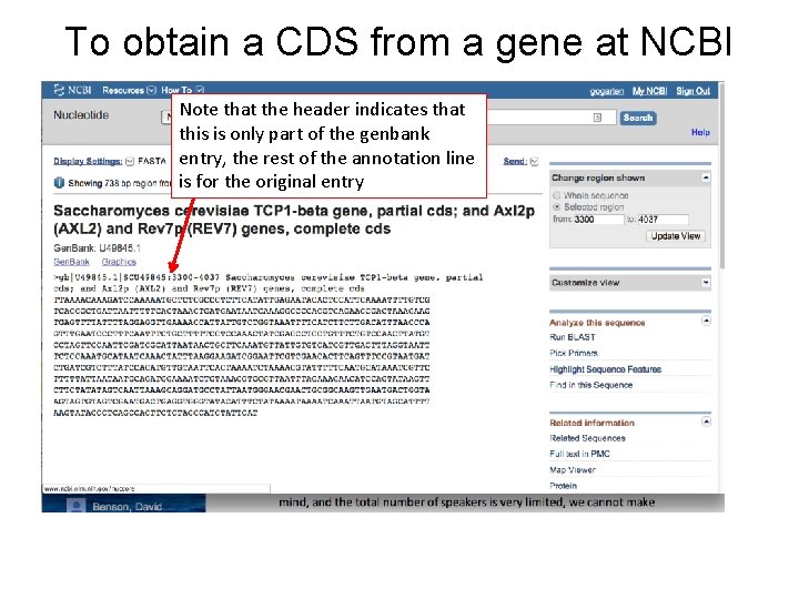 To obtain a CDS from a gene at NCBI Note that the header indicates