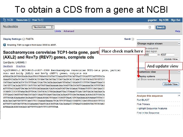 To obtain a CDS from a gene at NCBI Place check mark here And